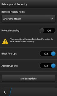 Tips BlackBerry 10: How Private Browsing