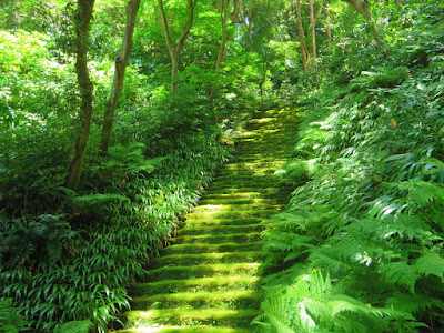 苔の石段　右から