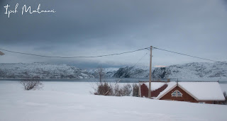 Finnmark, Norveç, Kuzey Işıkları, Aurora Borealis, Bugoynes, Sevettijarvi, Finlandiya, gezi seyahat blog