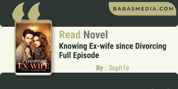 Read Knowing Ex-wife since Divorcing Novel By Soph1e / Synopsis