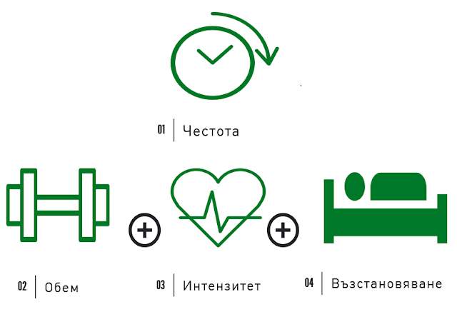 Колко често да тренирам?Инетнзитет-обем-възстановяване