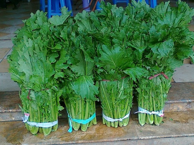 Meo Cabbages – Speciality in Sapa 1