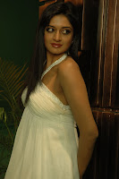 Vimala Raman New Spicy Stills