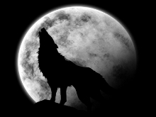 Imagen de lobo aullando a la luna