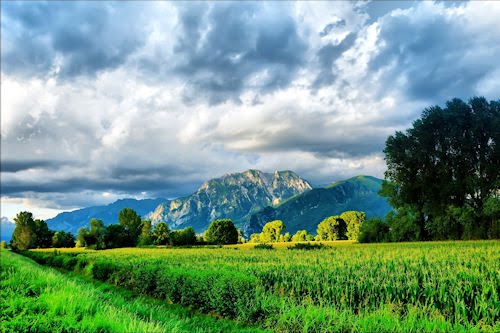 Paisajes naturales VII (Más allá de los verdes prados)