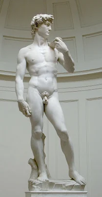 Il David di Michelangelo (Galleria dell'Accademia Firenze)!