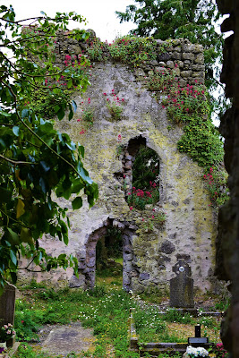 Saint Fintans Well, Cromogue, Laois.