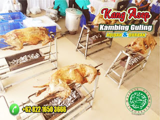 Bakar Kambing Guling Cimahi 082216503666,Bakar Kambing Guling Cimahi,Bakar Kambing Guling,Kambing Guling Cimahi,Kambing Guling,