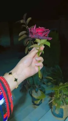 চুড়ি পরা হাতের পিক
