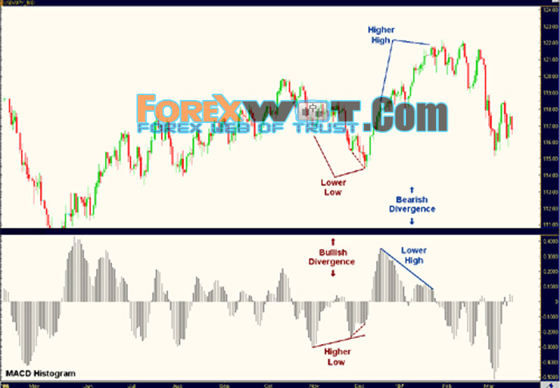forex trading practice account download