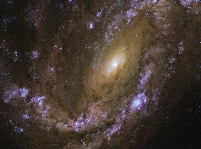 supernova-ipe-ic-di-galaksi-ngc-4051-informasi-astronomi