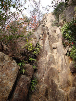 六甲の荒地山