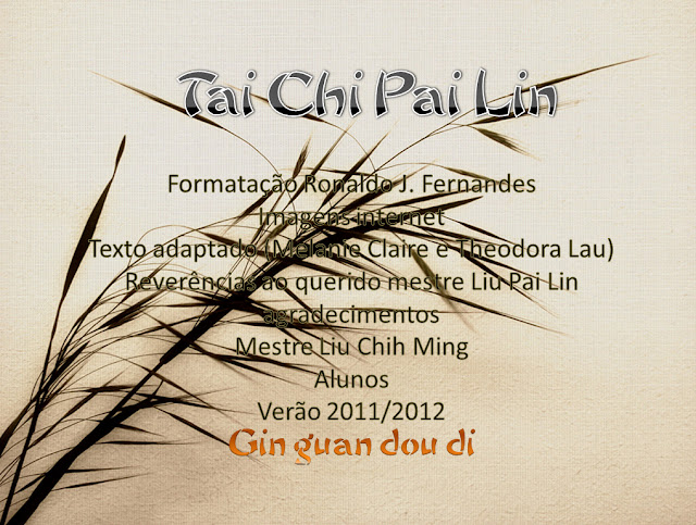 realizado por Ronaldo Fernandes - Tai Chi Pai Lin