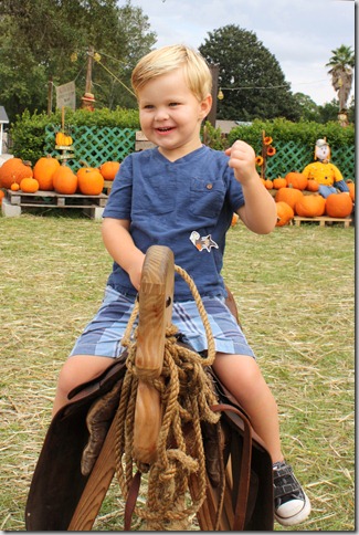 horsie