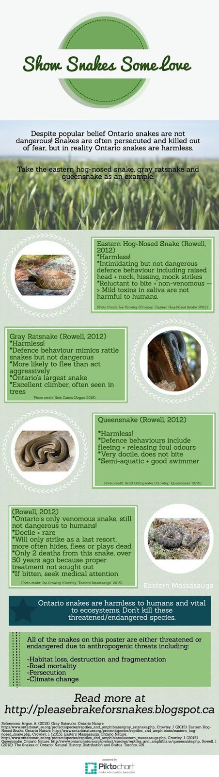 Show Snakes Some Love - Ontario Snakes are NOT Dangerous