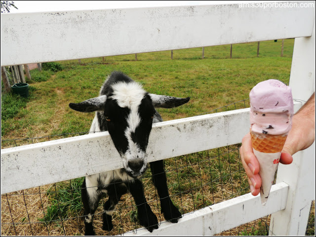 Granjas de Helados en Massachusetts: Crescent Ridge