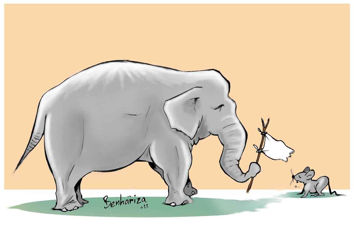 Online Gallery of Cartoon by Abdelghani Benhariza - Algeria