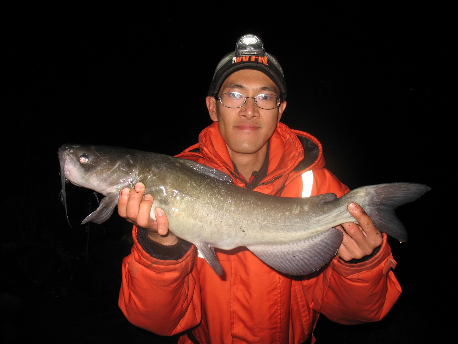 MuskieBait Adventures: Wishing upon the Orionids for a Lake Sturgeon