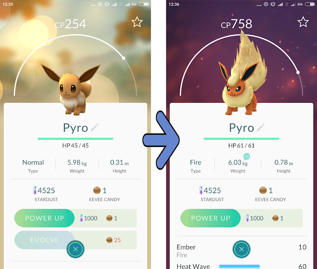 eevee menjadi flareon dengan nickname pyro