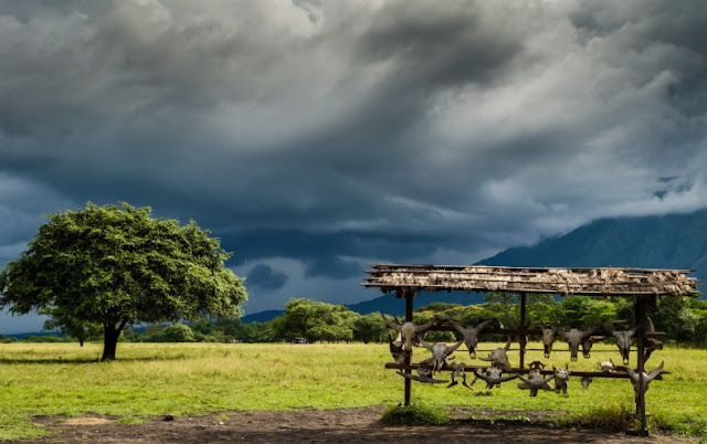 Taman Nasional Baluran 