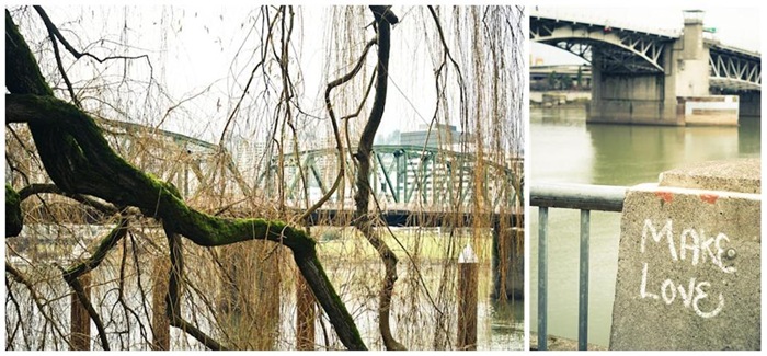 portland_d7