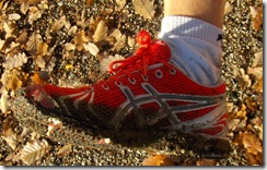 race_shoes