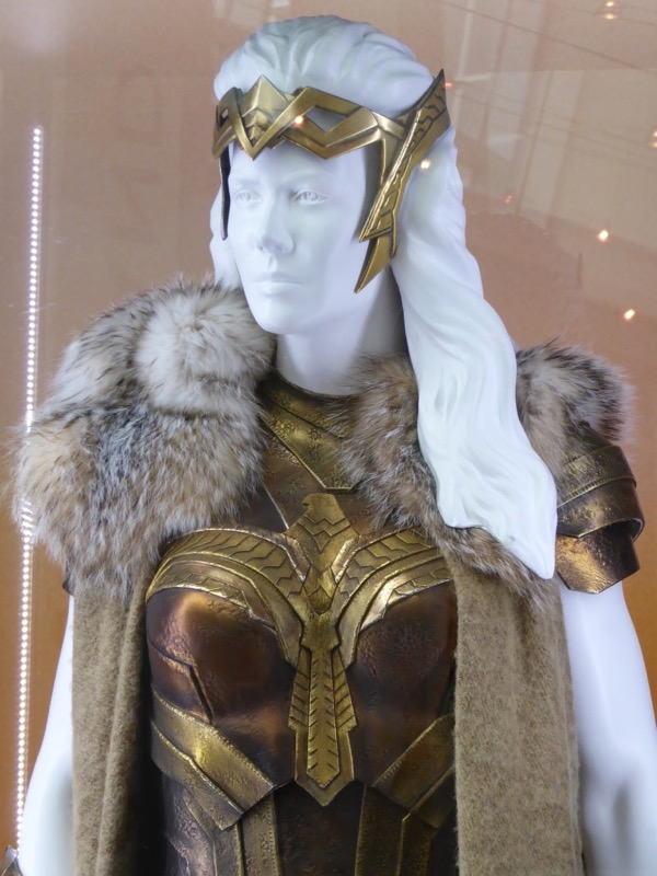 Queen Hippolyta Wonder Woman costume