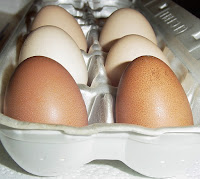 half dozen eggs - 4 orloff and 2 welsummers laid