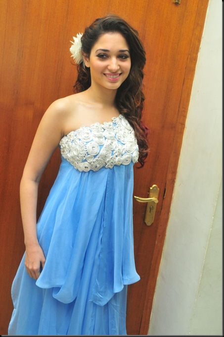 Oosaravelli-audio-function-photos-50