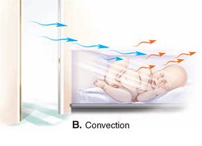 Salah satu metode kehilangan panas bayi adalah konveksi