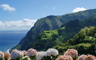 Paisajes naturales VII (Más allá de los verdes prados)