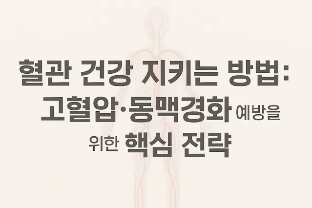 혈관 건강을 지키는 핵심 전략을 소개하는 이미지