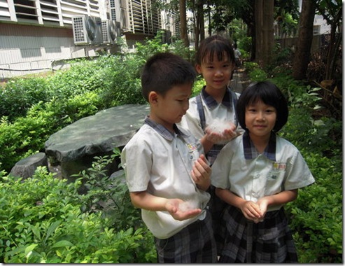 clip_image004