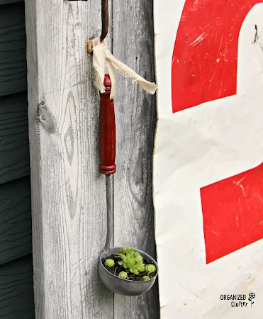 Ladle Succulent Planter