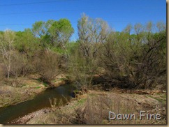 tubac bridge , madera canyon_043