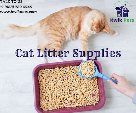 Best Cat litter boxes, liners, mats and several other accessories available at affordable price at Kwik Pets.