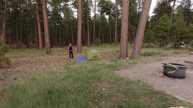 Ruime plekken op Jakob Lake Campground