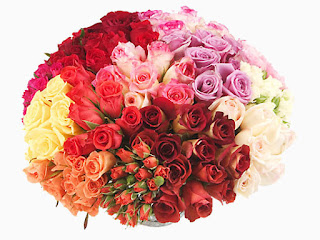 باقة ورد جميله -Beautiful bouquet of flowers