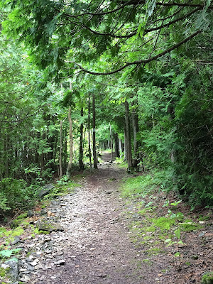 Colpoy's Bluff Hiking Ontario.