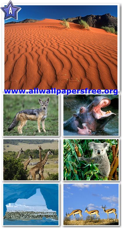 100 Impressive Nature Wallpapers 1600 X 1200 [Set 12]