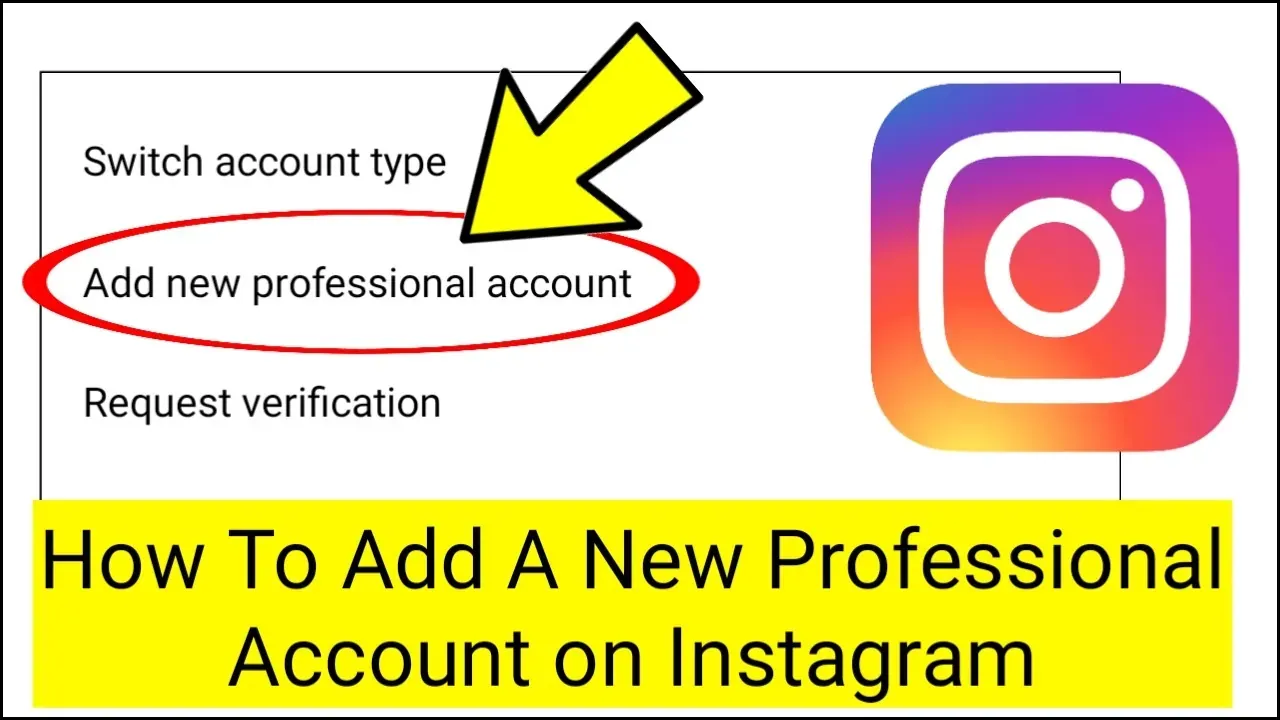 How To Add A New Professional Account On Instagram