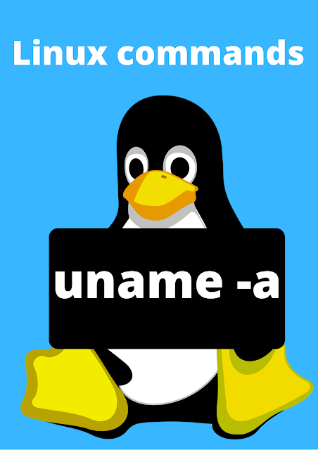 linux commands 8