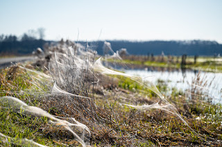 Landschaftsfotografie Ochsenmoor Olaf Kerber