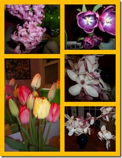 Easter 2011