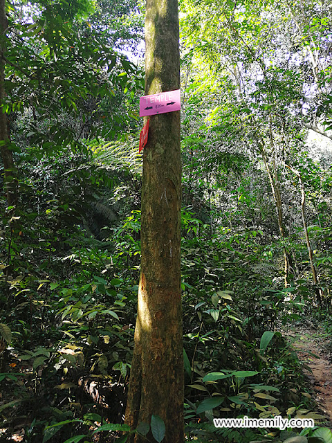 Hiking @ Bukit Gasing, Petaling Jaya (Trail Guide)