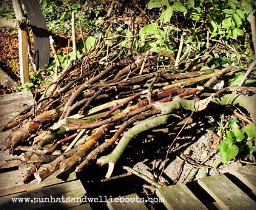 Build your own Hedgehog House - Explore Hibernation