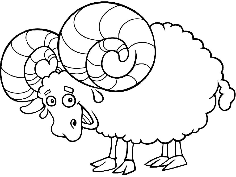  Gambar Mewarnai Domba Untuk Anak PAUD dan TK