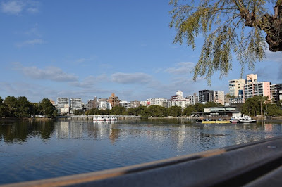 大濠公園（福岡市中央区）の池の様子。貸しボートもある。