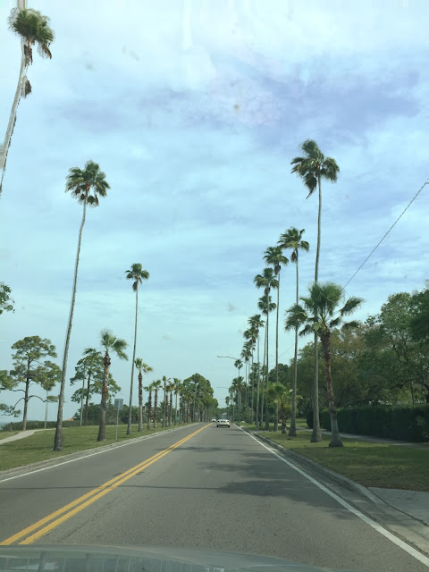 Florida Highway 19