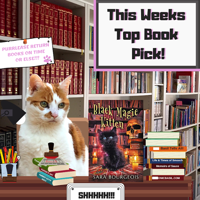 Amber's Book Reviews #236 What Are We reading This Week ©BionicBasil® Black Kitten Magic by Sara Borgeois